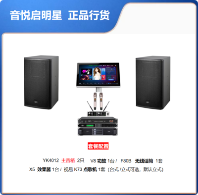 音悦启明星 : YK4012KTV音响会所酒吧音响唱歌音响客厅影院工程会议